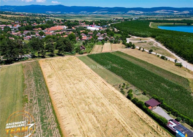 FILM! Teren extravilan, Valea Crisului, Covasna