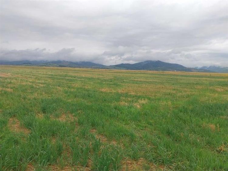 33.100mp, Tarlungeni, Brasov - 3