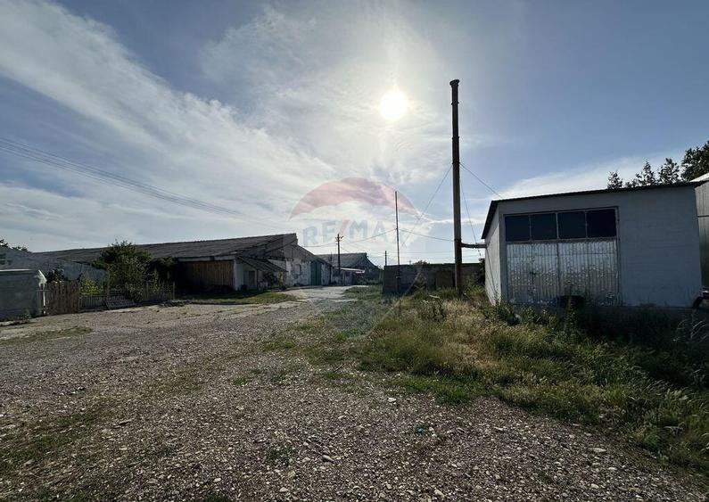 Spa?iu industrial Hale si Fabrica de lemn - 13