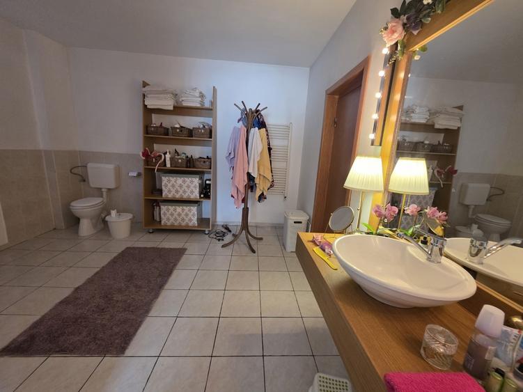 Dristor, Camil Ressu, 15 minute metrou, pe strada Ilioara - 7