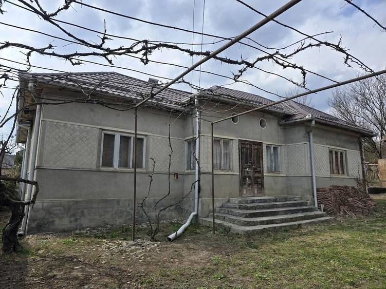 Vand Casa Pamant Padure - 1