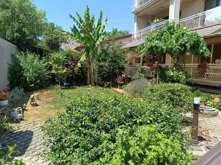 Vila  zona Elisabetin P+2E+M - 11