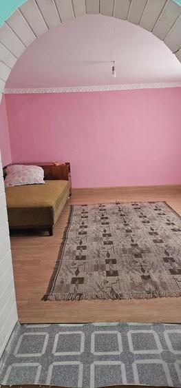 Vand casa in sat Nadalbesti judet Arad - 9