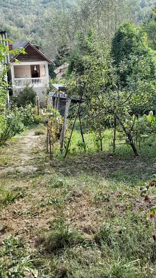 Bezdead doua case pe acela?i teren in centrul ora?ului - 7