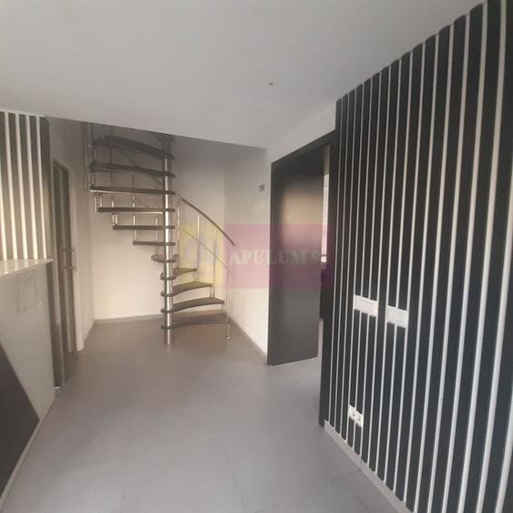 Spatiu Comercial Stradal Șoseaua Colentina zona Teiul Doamnei Suveica - 55