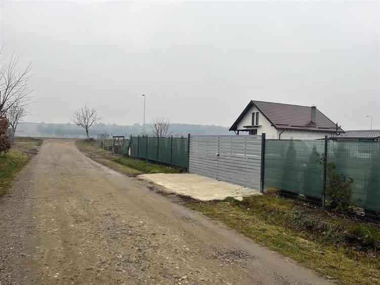 Teren de Vanzare in Bod - 2