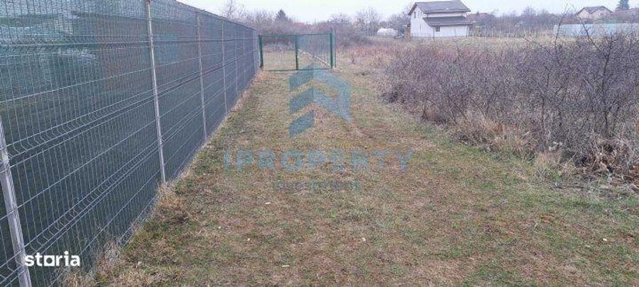 Teren Intravilan | Clinceni | 922mp - 3