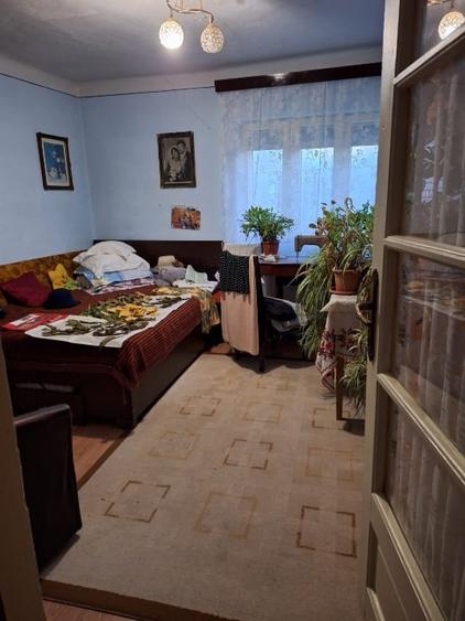 Casa  si curte, un singur nivel - 10