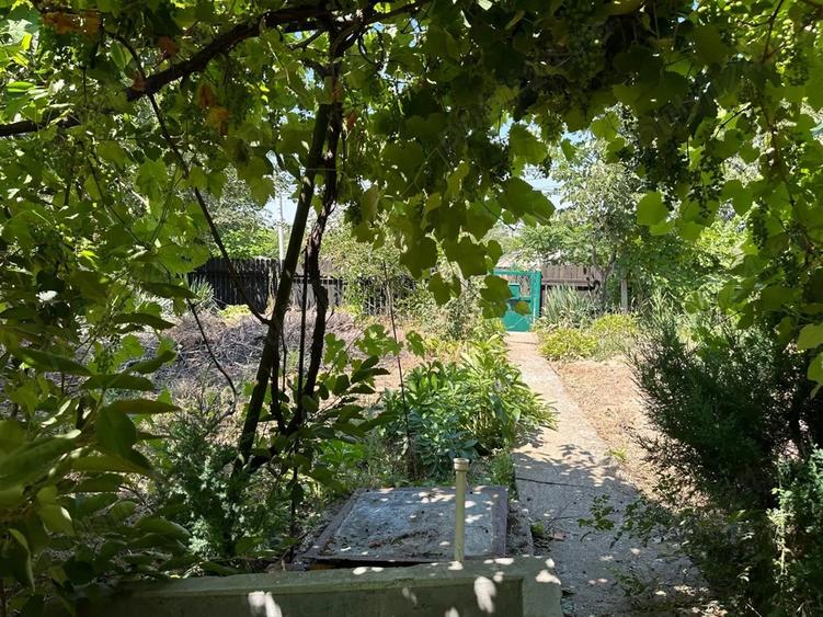 Casa batraneasca de vanzare, Oltina, Constanta, teren 1100mp, aproape de Dunare - 3