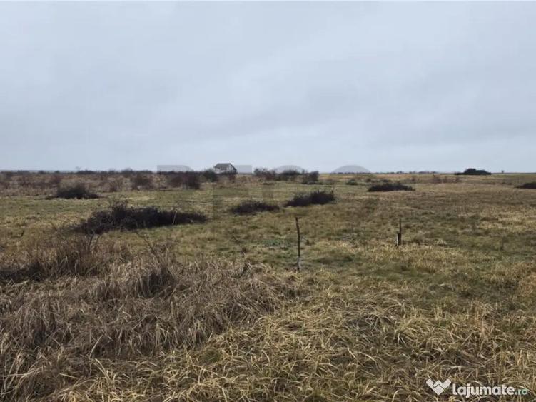 RECO teren extravilan Oradea zona Grigorescu - 1