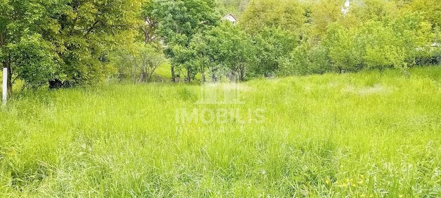 Teren intravilan | Budiu Mic | 994 mp - 8