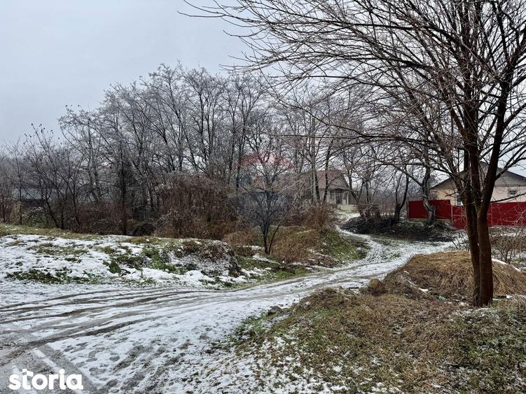 Casa Bolotesti / Vitanestii de Sub Magura - 13