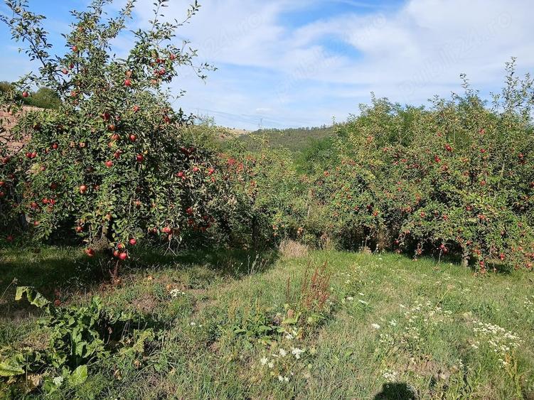 Casă cu 2 camere cu Teren 23 Mp în Lepindea