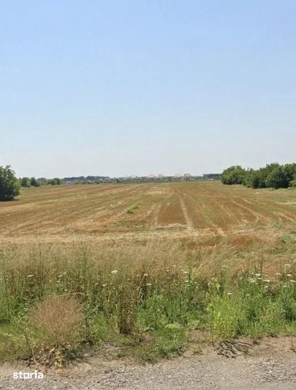 Teren de 7033 mp, în Odăi