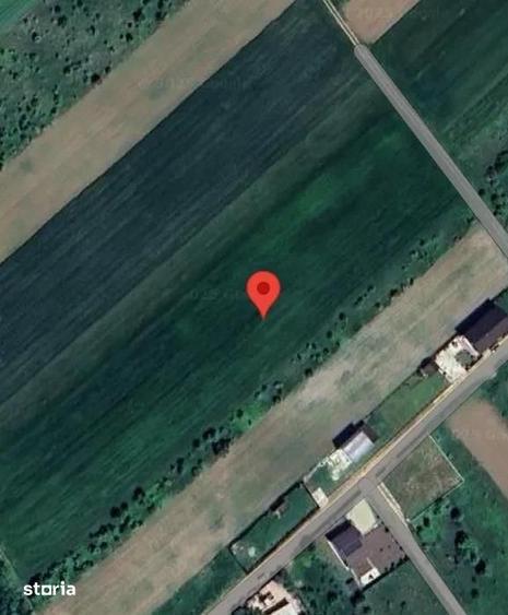 Teren Intravilan Cosoba 5600 mp,langa padure - 1