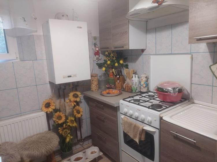 Vand casa Dancu . - 3
