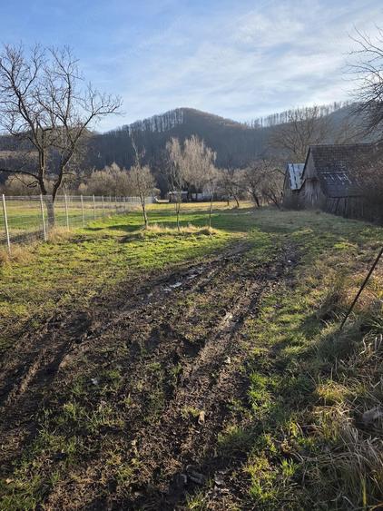 Teren de 700 mp, în Câmpu Cetății