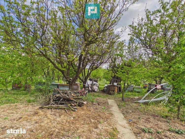Casa cu 3 camere ?i teren generos in Drau? - 1
