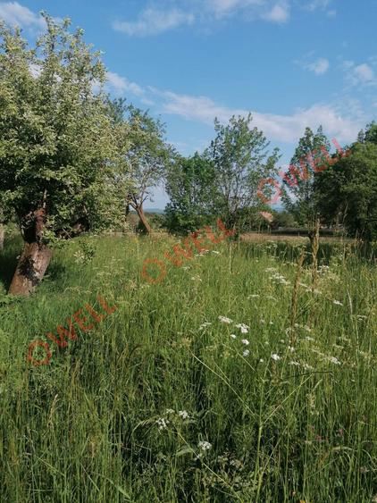 De vânzare teren intravilan în Estelnic! - 10