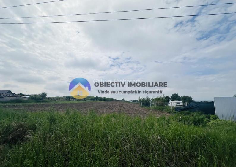 Teren- Com. Stefan cel Mare- jud. Neamt