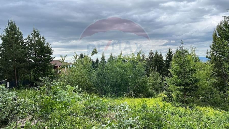 Comision 0%! Teren Sacele / Strada Valea Larga 2000 mp - 7