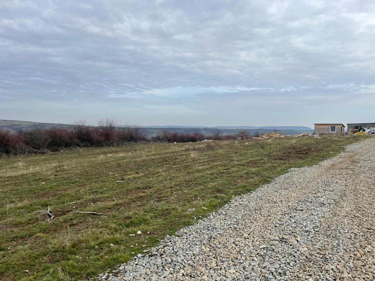 Teren intravilan parcelat Daia Noua - 3