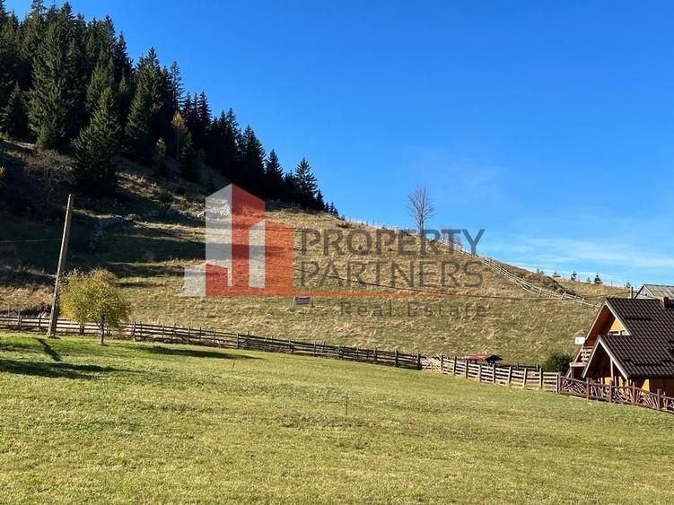 Teren Fundatica intravilan 4500 mp - 14