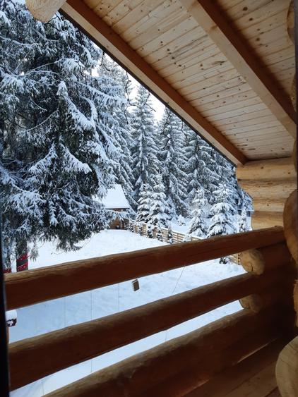 De Vanzare Cabana in   Poiana Negrii cu Clasificare la  Ministerul Turismului - 8