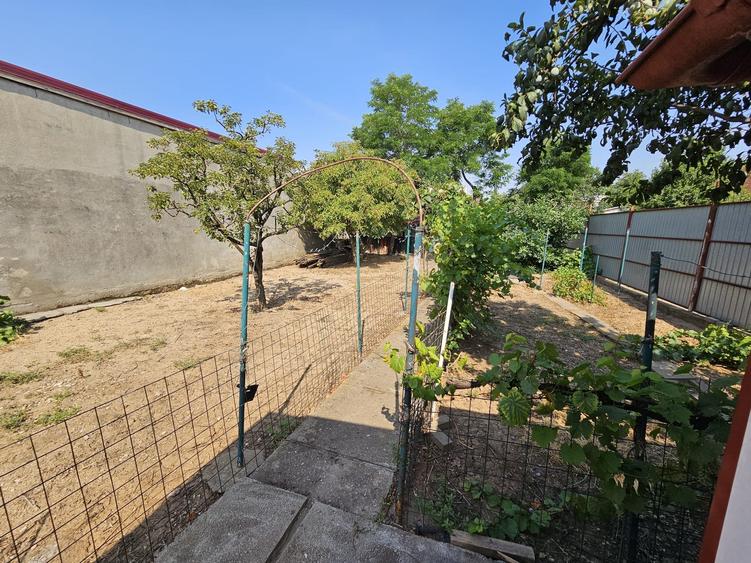 CASA TRADIȚIONALĂ ”MAGNOLIA, P+M 195mp, TEREN 556mp, CHIAJNA-STR. EROULUI - 48