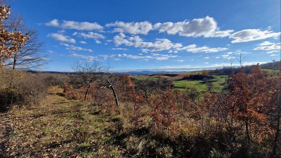 Teren de vânzare in Groși, Maramureș, 55 ari - 5