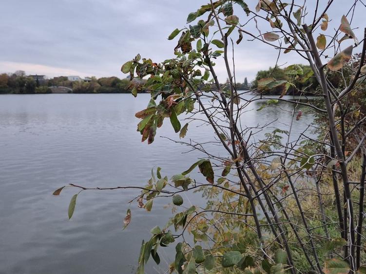 Green Lake | Lacul Baneasa | Sisesti | Vila cu 4 apartamente - 14