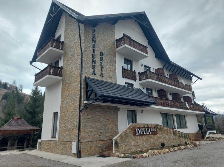 Esti interesat de proprietate si afacere la munte in Bucovina - 1