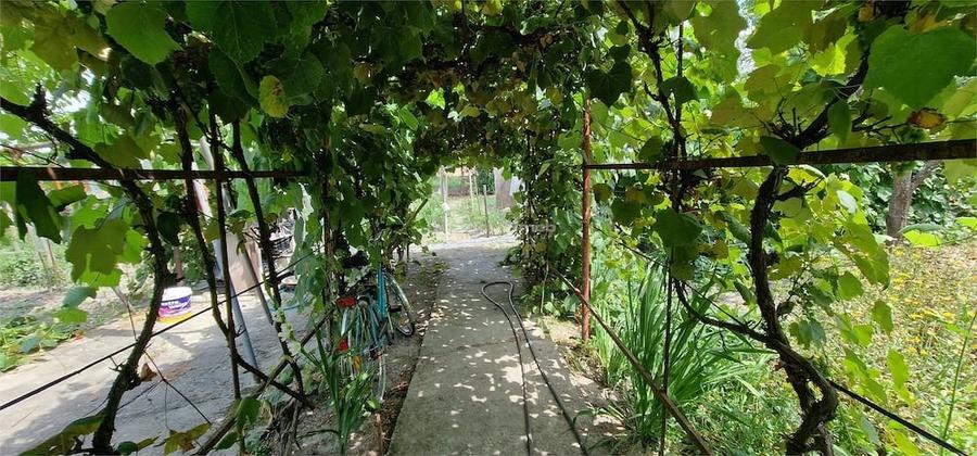 Casă cu Teren 3340 Mp în Brebu
