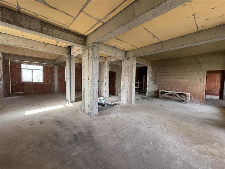 PENTHOUSE PARCUL CAROL | LIVING 100 mp | PRIMARIE SECTOR 5 - 1