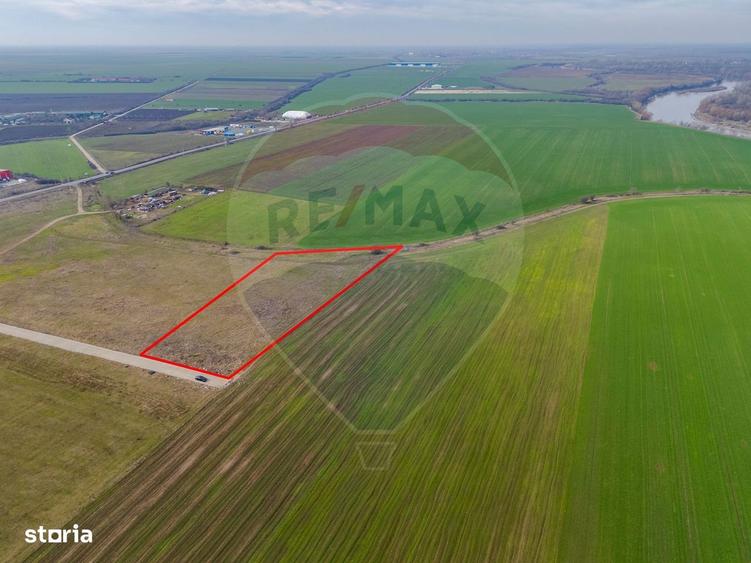 Teren intravilan 10.000 mp in Zona Industriala Sud Arad - 4