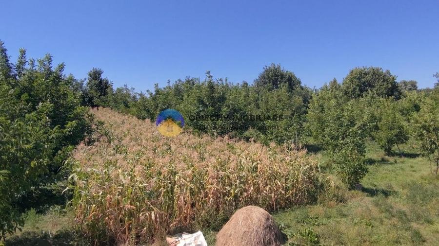 Teren de vanzare 1935 mp Piatra Neamt - Str. Plantelor - 5