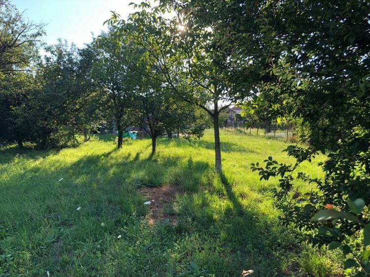 Braytim casa parter (3cam) + casa P+1E rosu (5cam) - teren 1942 mp - 18