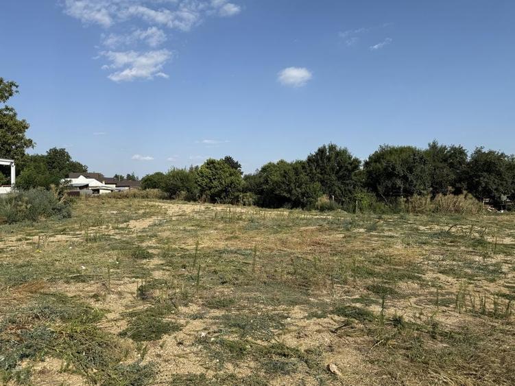 Teren intravilan de vanzare 4805 mp - 1