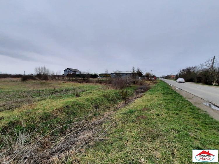 Teren intravilan 12216 mp in Vetis construibil - 3