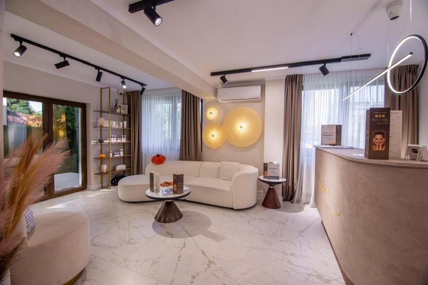 Vilă premium de închiriat cu destinație medicală/comercială – complet renovată! - 1