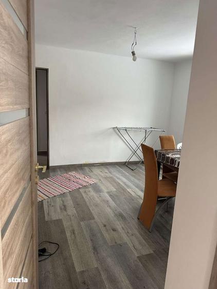 Proprietate cu 2 case in Gura Vaii la doar 10 km de Dr. Tr. Severin - 2