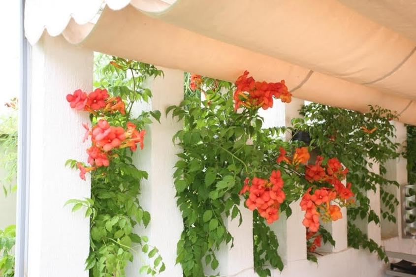 Construita pentru confort. Protejata natural in Snagov - 5