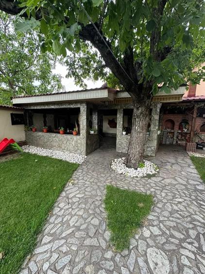 Cladire zona centrala, strada Jiului, Targu-Jiu - 15