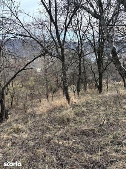 Teren de vanzare Fieni Dambovita - 4