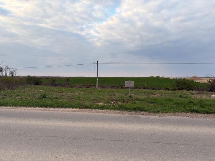 Teren Nojorid - drumul Livezii - 2