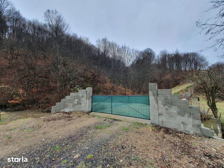 Teren Poiana Marului pretabil investitie 5 euro/mp - 5
