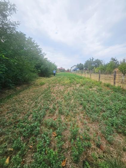 Teren intravilan, cu priveliște– Vălenii de Munte - 12