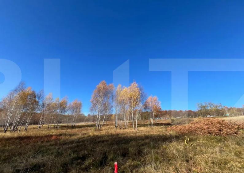 Teren construibil de vanzare, zona casele Micesti - 1