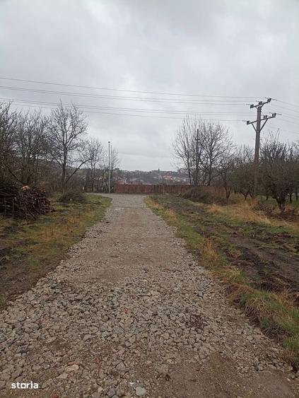 De vanzare teren intravilan in Sfantu Gheorghe - 4