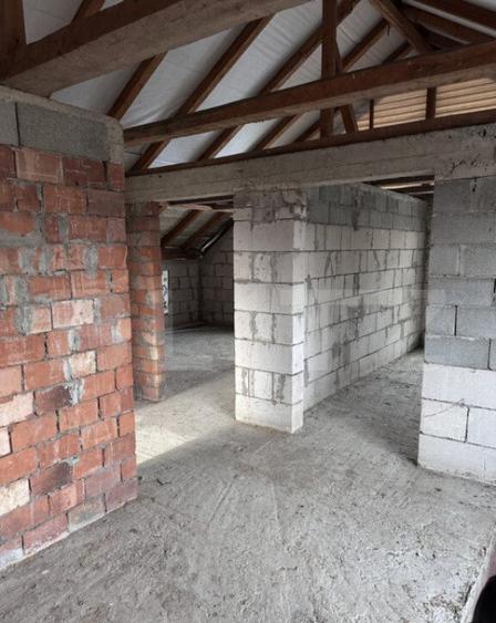 Casa la ro?u Mana?turel ,teren generos,priveli?te pano - 8